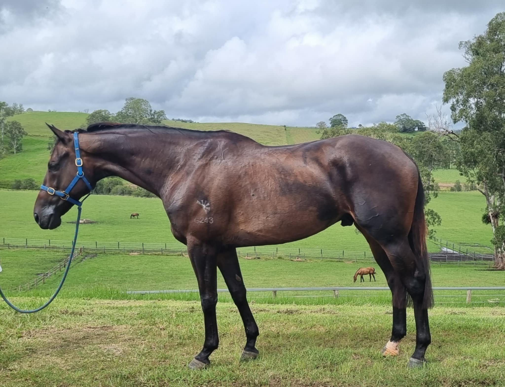 b1f7b096-aec2-4901-b44f-dea70668e97d