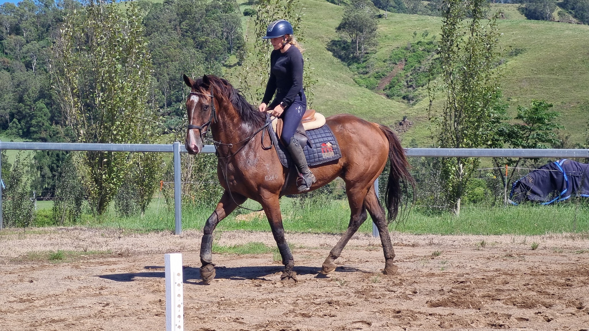 487364821_1095821732558635_91783502366202399_n