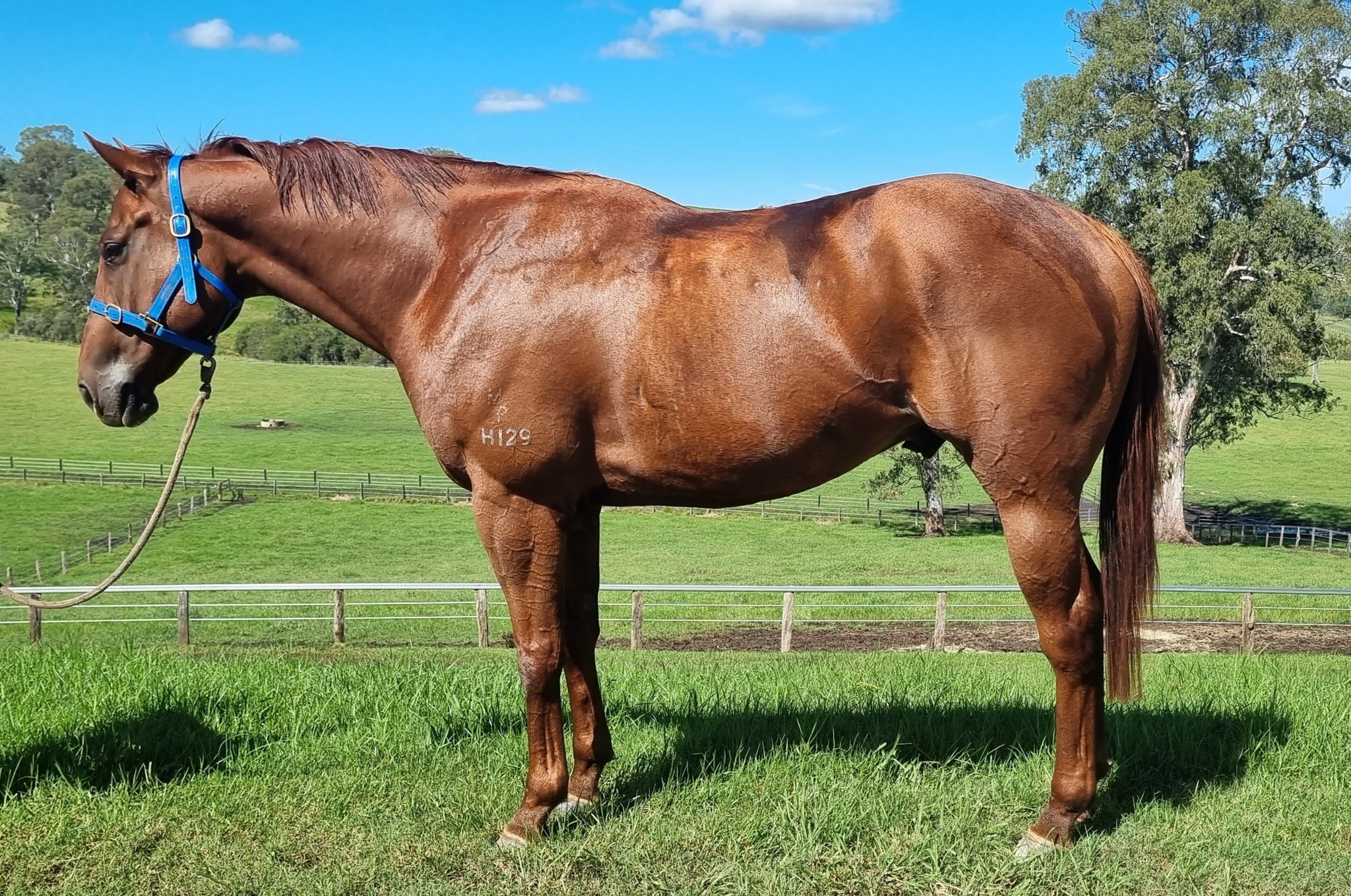 487421075_1095821905891951_1228673658485136690_n