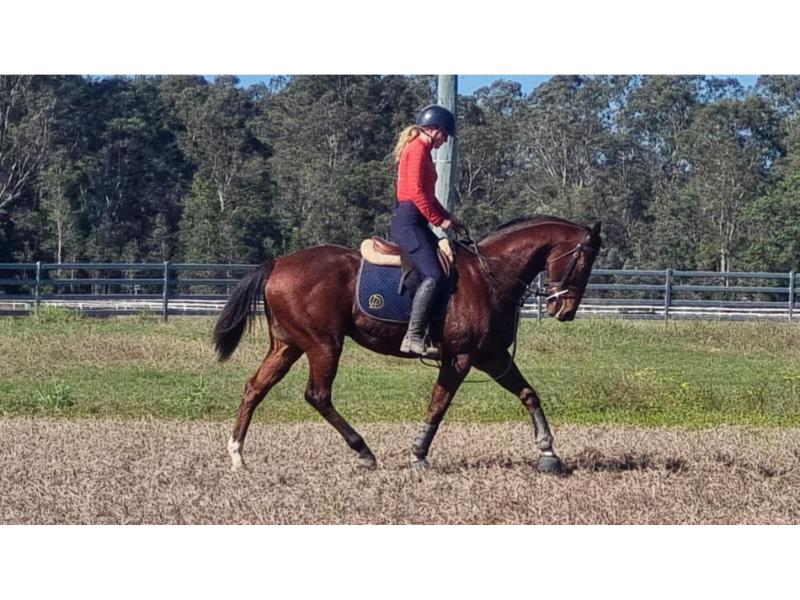 4d9350a6-6486-4b74-8e3c-825c09ef3988